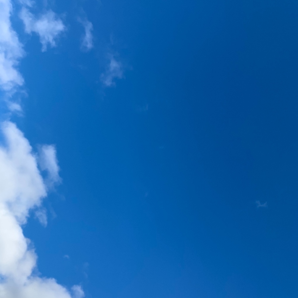 Meet your Posher, Elise